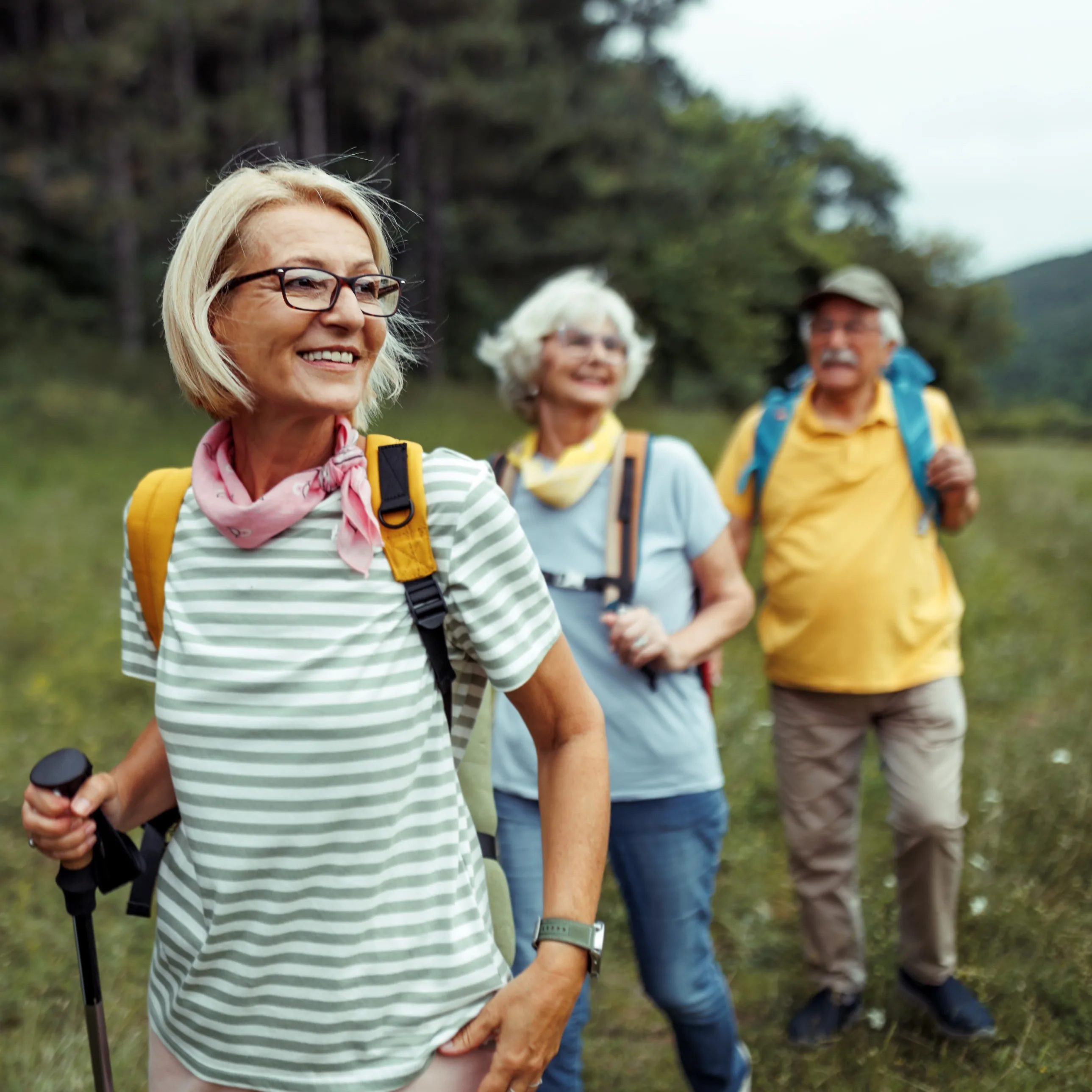 Drei ältere Personen wandern durch die Natur.