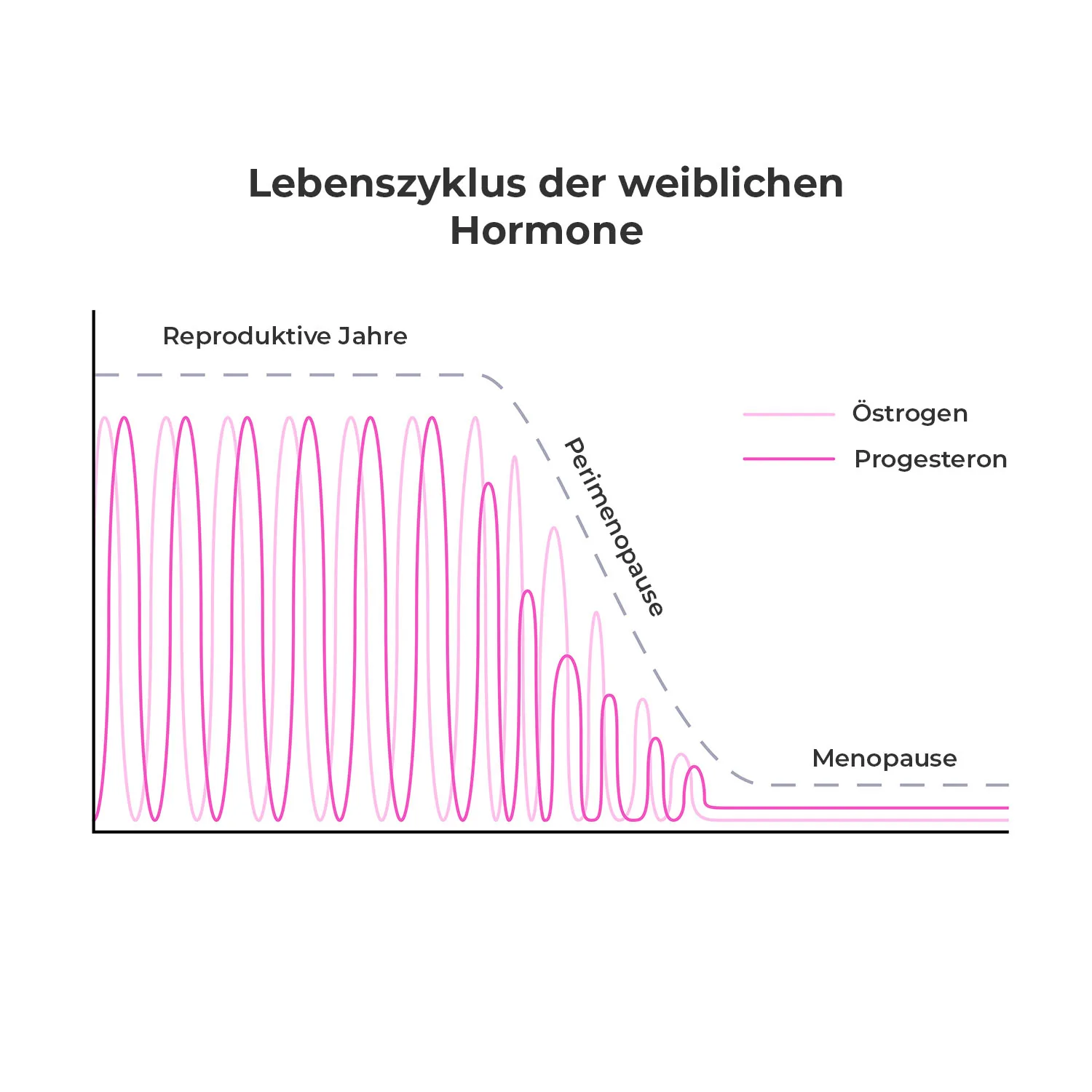 Eine Grafik die den Lebenszyklus der weiblichen Hormone zeigt.
