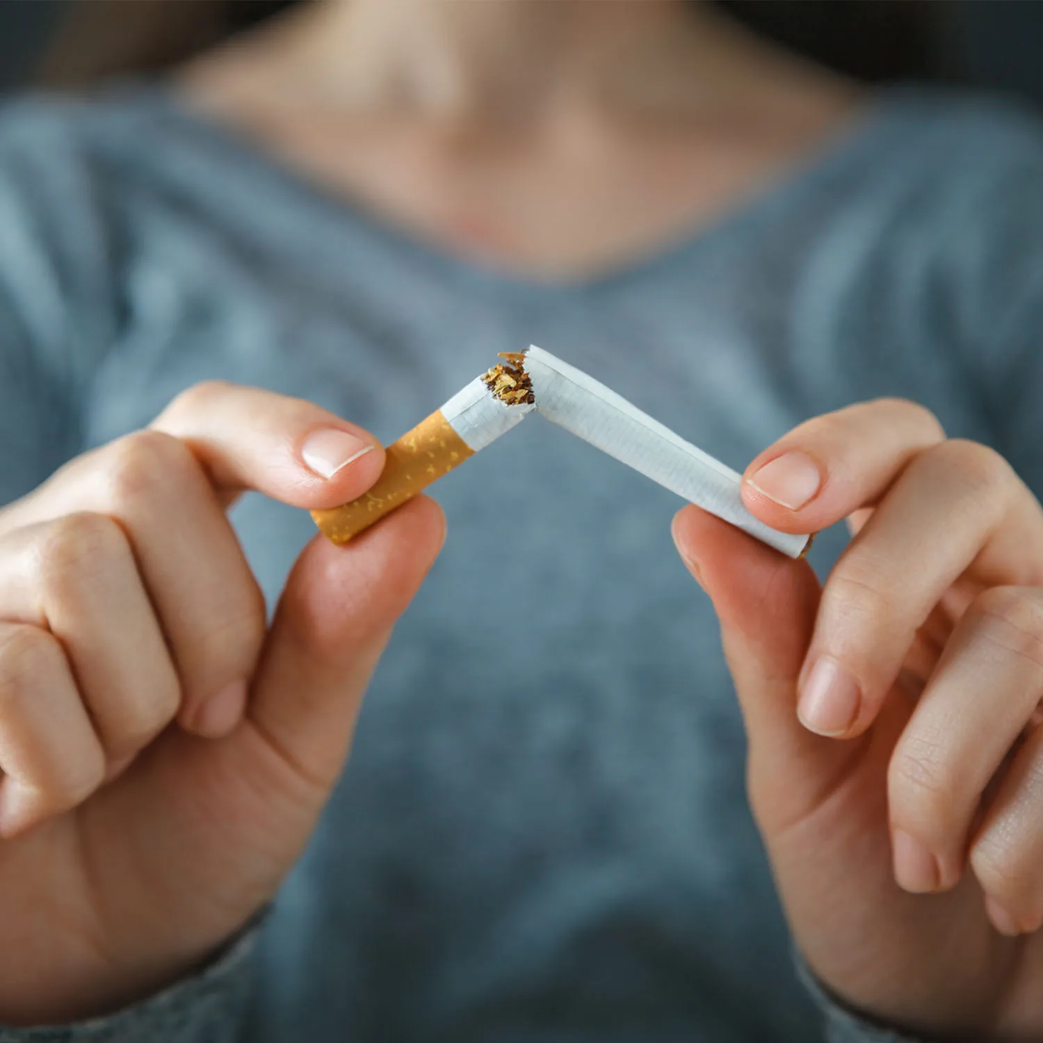 Nahaufnahme einer Zigarette die von zwei Händen zerbrochen wird.