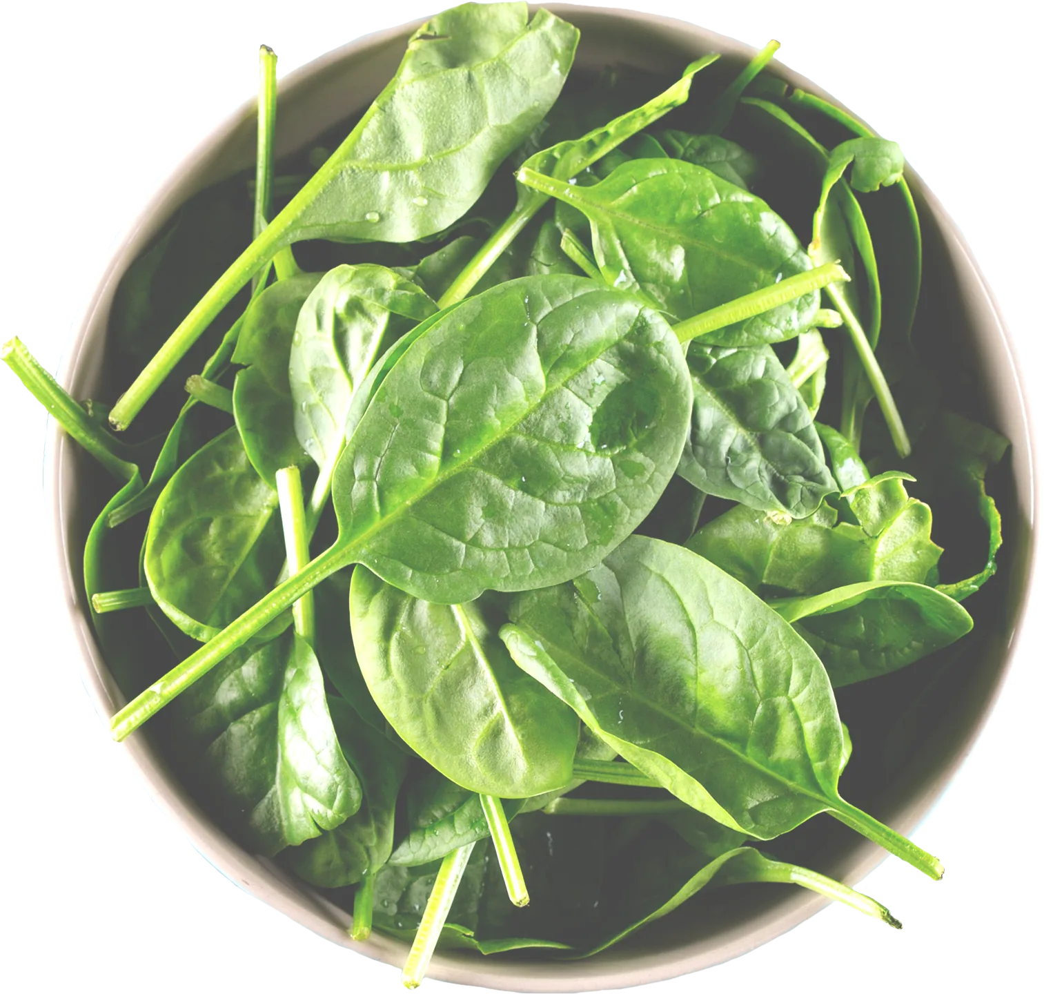 Frischer Spinat in einer Schüssel.