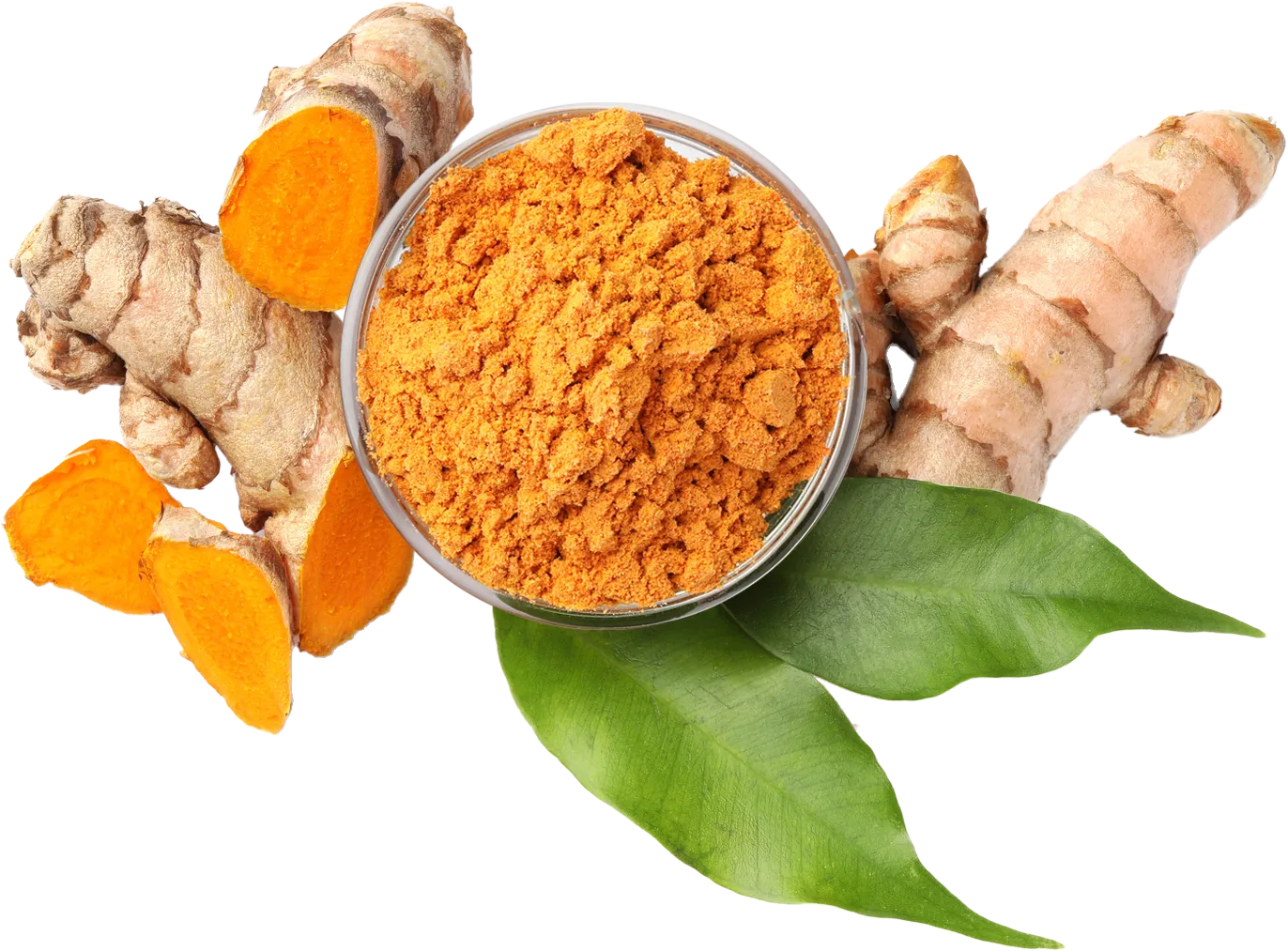 In Stücke geschnittener Kurkuma und als Pulver in einer Schale.